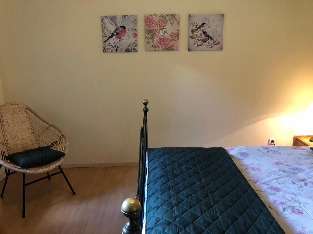 Vila Za Piecem Guzowy Piec Exteriér fotografie
