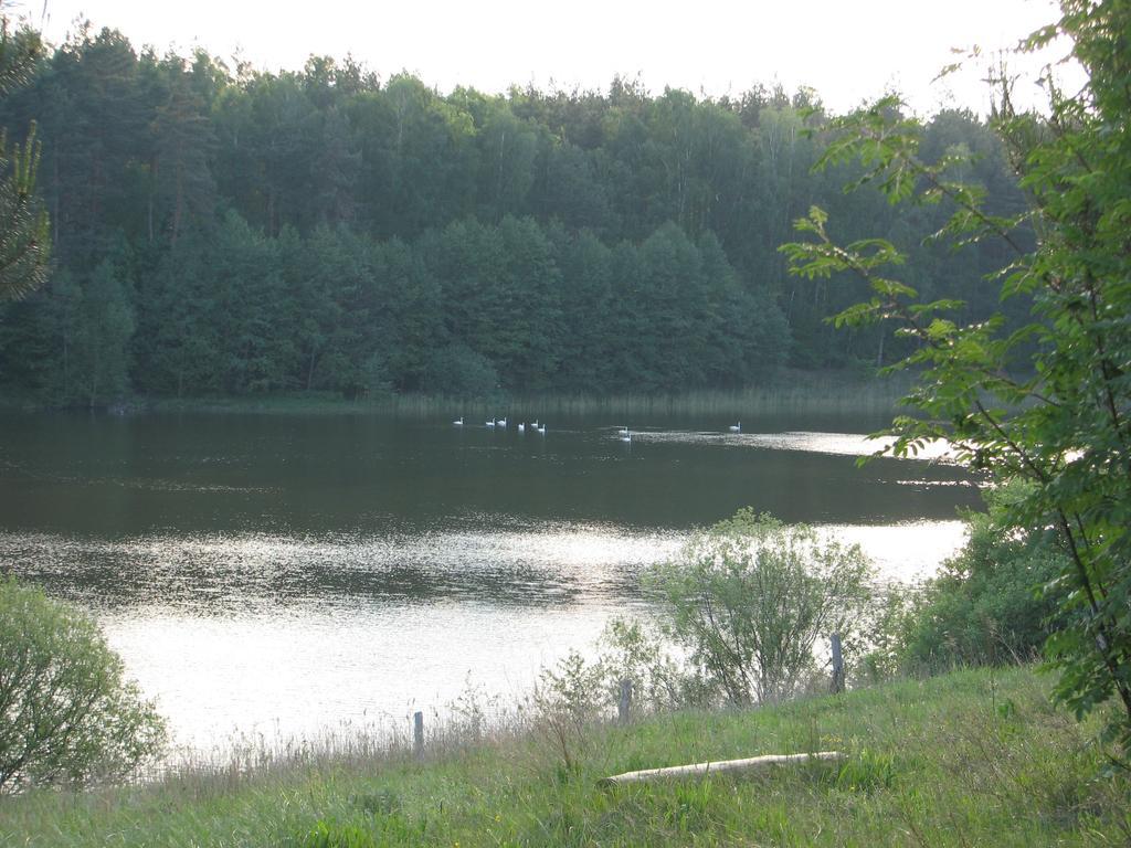 Vila Za Piecem Guzowy Piec Exteriér fotografie